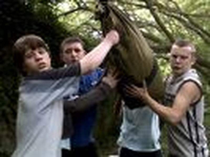 Foto 11 de Summer Scars