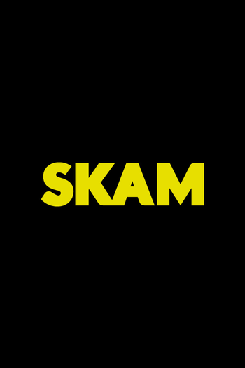 Poster de Franquia SKAM (2015)