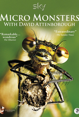 Poster 3 de Série O Micromundo dos Artrópodes (2013)