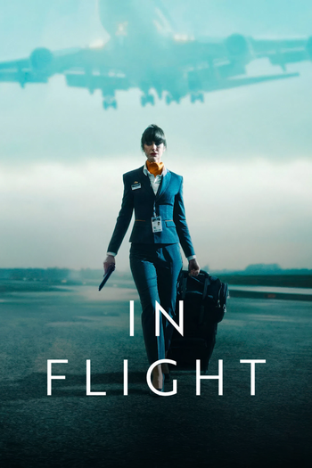 Poster de Franquia In Flight (2025)