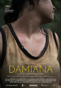 Damiana (Damiana)