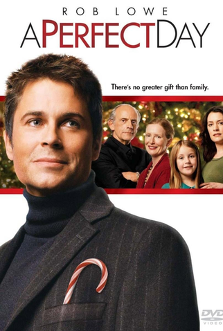 Poster 1 de Filme Um Dia Perfeito (2006)