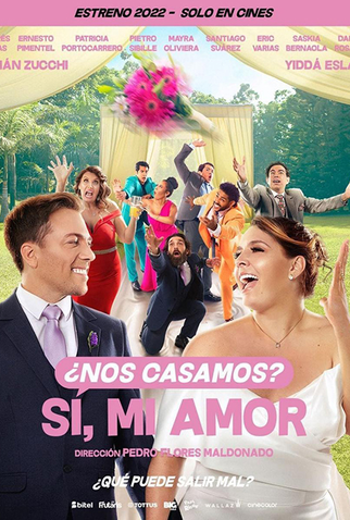 Poster 1 de Filme Vamos Casar! (2022)