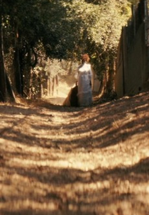 Sonhei Que Você Sonhava Comigo (I Dream You Dream of Me)