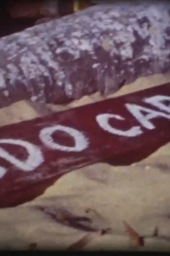 Poster de Curta Tudo Cabe (2013)