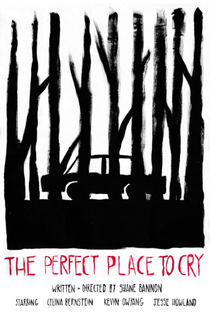 Um Lugar Perfeito para Chorar - Poster / Capa / Cartaz - Oficial 1
