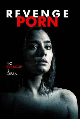 Poster 3 de Filme Destruída na Internet (2016)