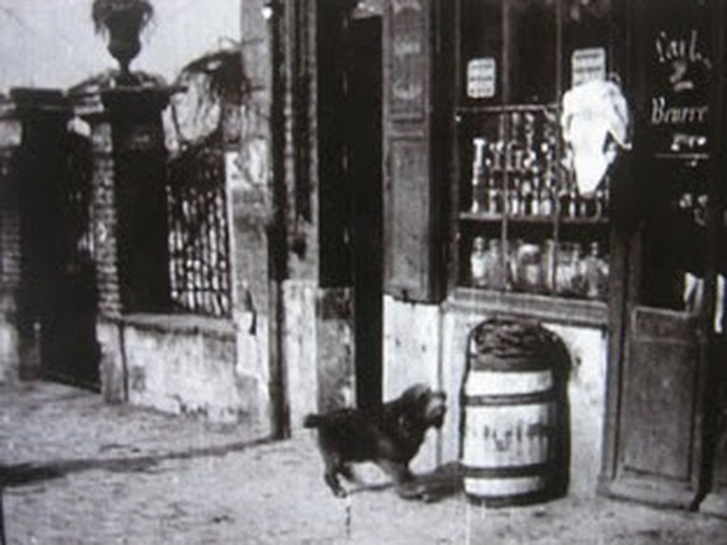 Foto 1 de Course à la saucisse