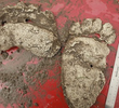 Big Foot