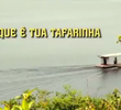 Vai que é tua Tafarinha