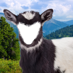 Foto de perfil de Ana