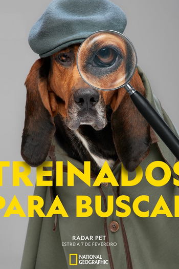 Poster de Série Radar Pet (2019)