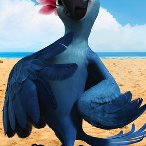 Foto de perfil de Manoela