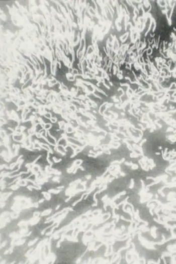 Poster de Curta Quanta (2010)
