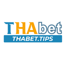 Foto de perfil de Nhà Cái Thabet