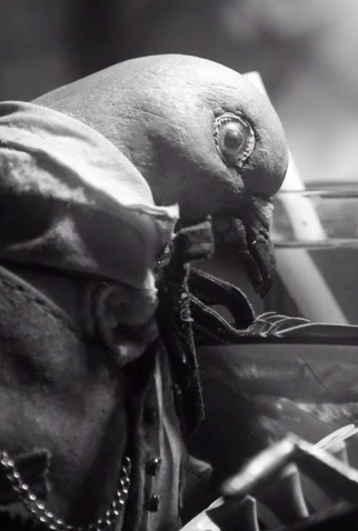 Poster 1 de Curta We Drink Too Much (2017)