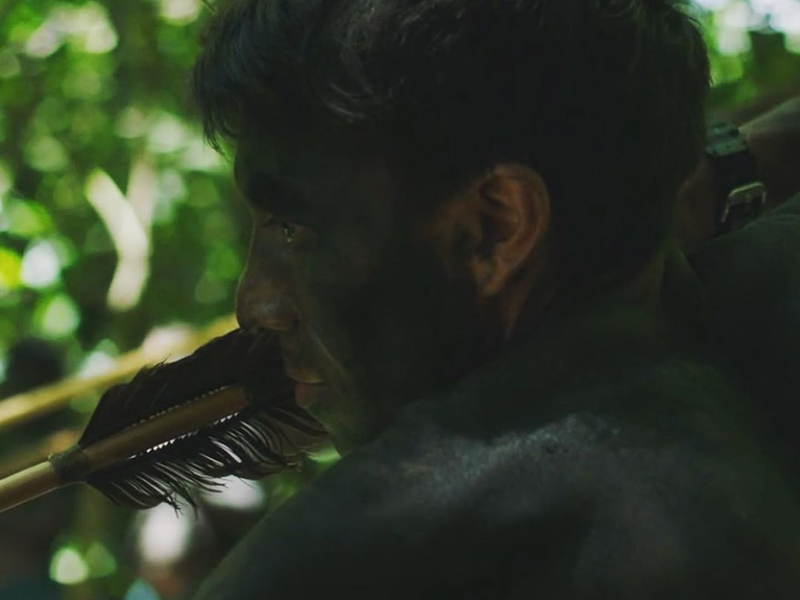 Foto 2 de A Última Floresta