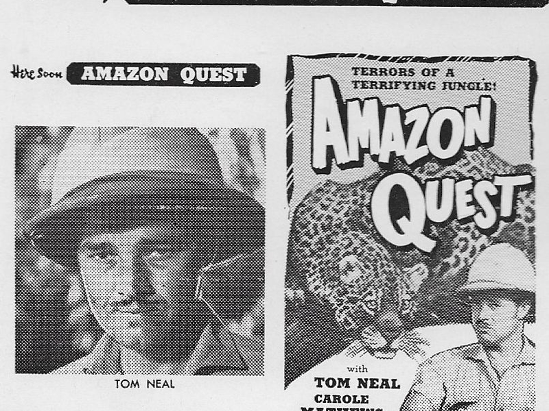 Foto 3 de Amazon Quest