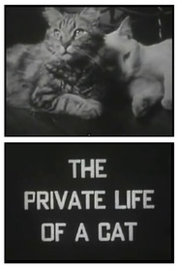 Poster de Curta The Private Life of a Cat (1944)