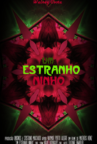 Poster 2 de Curta Um Estranho Ninho (2013)