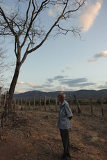 Fogo-Pagou (Fogo-Pagou)