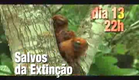 Salvos da Extinção estreia no dia 13 de novembro