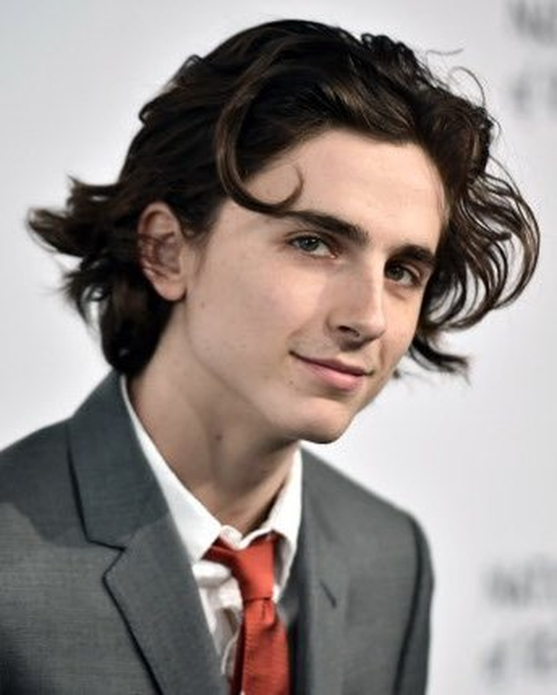 Timothée Chalamet - Foto 7