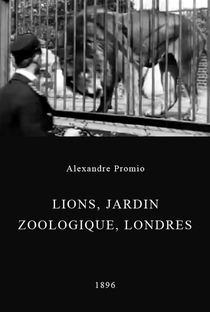 Lions, Jardin zoologique, Londres - Poster / Capa / Cartaz - Oficial 1