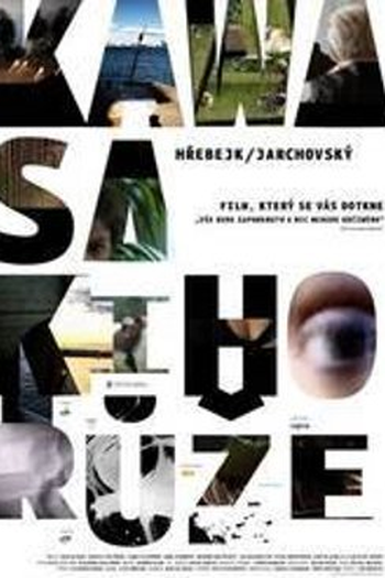 Poster de Filme A Rosa de Kawasaki (2009)