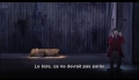 Les aventures de pinocchio en francais