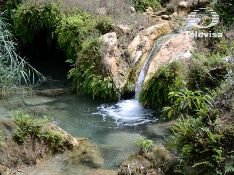 Foto 110 de Las Amazonas