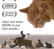 Cat Ladies