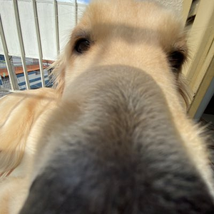 Foto de perfil de Laura
