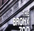 The Bronx Zoo (1ª Temporada)