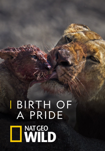 Uma Nova Alcateia (Birth of a Pride)