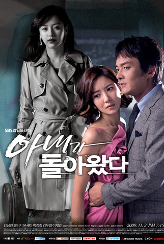 Poster 1 de Série Wife Returns (2009)