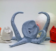 The Polyp