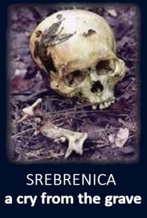 Srebrenica: A Cry from the Grave - Poster / Capa / Cartaz - Oficial 2