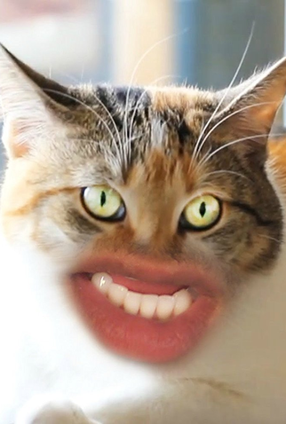 Poster 1 de Curta Meow (2015)