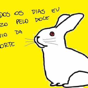 Foto de perfil de Luísa