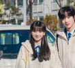 12회