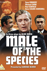 Male of the Species (Male of the Species)