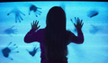 Cinema: Poltergeist - O Fenômeno