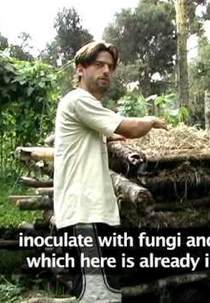 Ecovilas e a Permacultura: Um modelo de referência para o consumo sustentável? (Ecovillages and Permaculture: A Reference Model for Sustainable Consumption?)