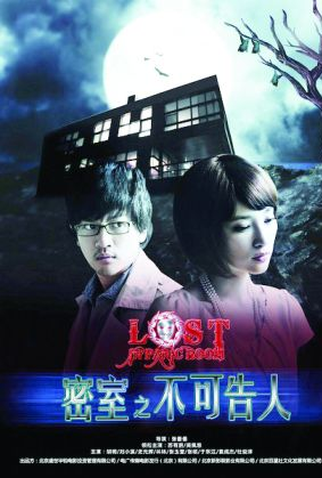 Poster 4 de Filme Lost In Panic Room (2010)