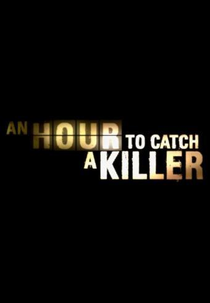 An Hour to Catch a Killer (An Hour to Catch a Killer)