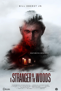 A Stranger in the Woods - Poster / Capa / Cartaz - Oficial 1