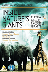 Por Dentro Dos Gigantes Da Natureza (Inside Nature's Giants)