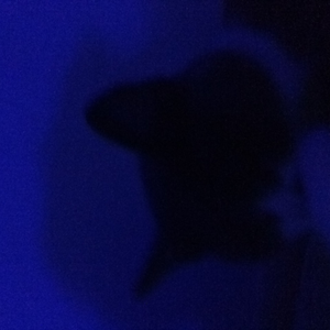 Foto de perfil de facunded