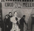 E o Circo Chegou